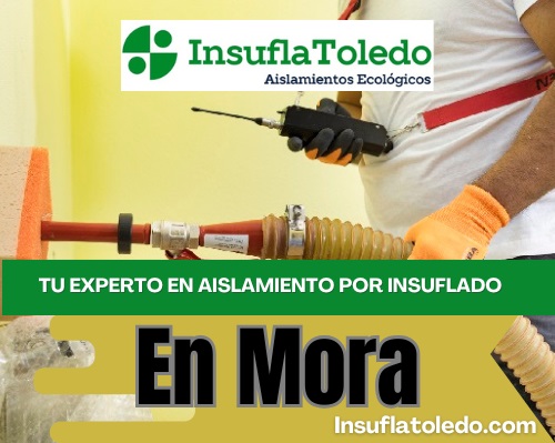 Aislamientos en Mora