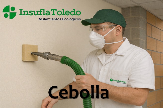 aislamientos Cebolla